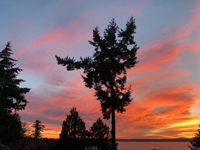 Golden Sunset Villa - Seattle, Washington