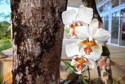 Casa Norte at Casa Comunal - Bocas del Toro Province, Panama