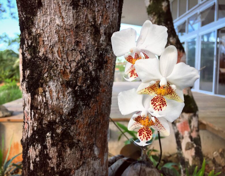 Casa Norte at Casa Comunal - Bocas del Toro Province, Panama