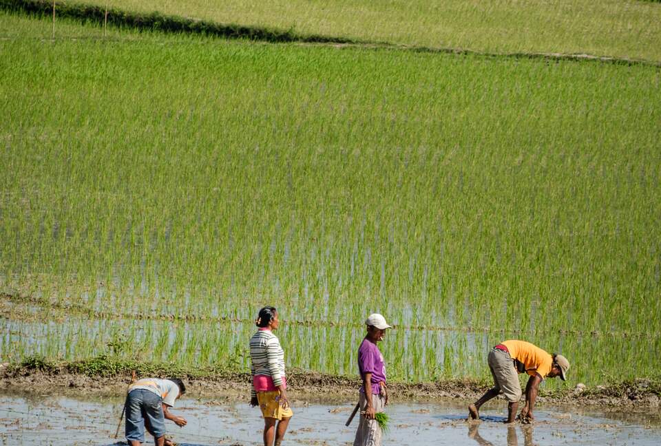 Nihi Sumba - Kasambi Estate (R) - Sumba, Indonesia