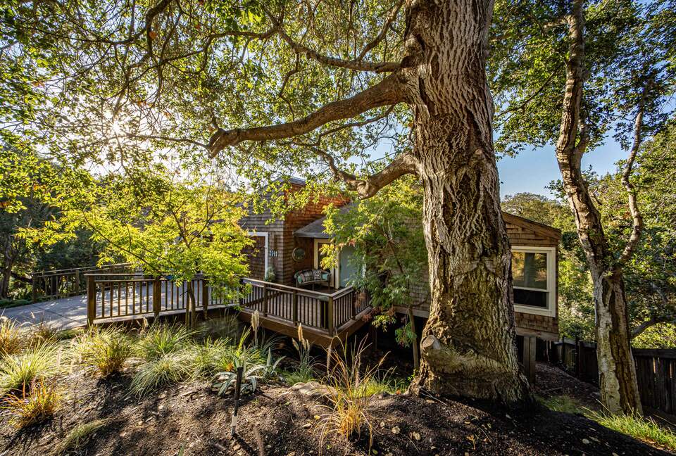 Incredible Hillside Escape with Heated Pool - Santa Rosa, California