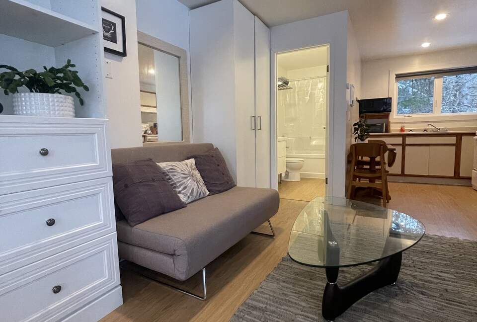 Cozy Studio in Central Whistler - Whistler, Canada