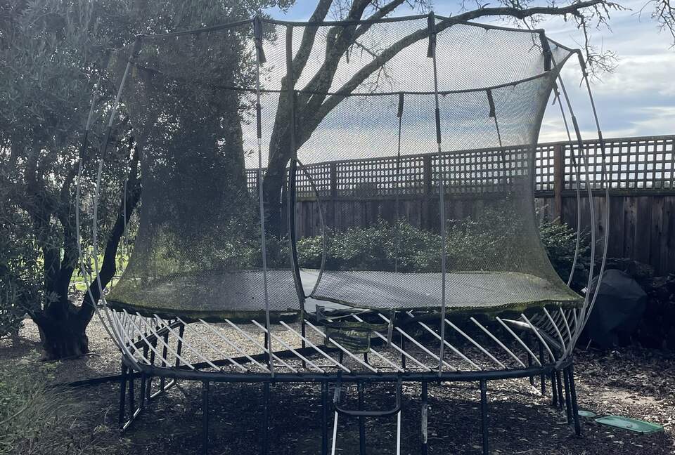The trampoline adjacent to the tree swing and south fire-pit