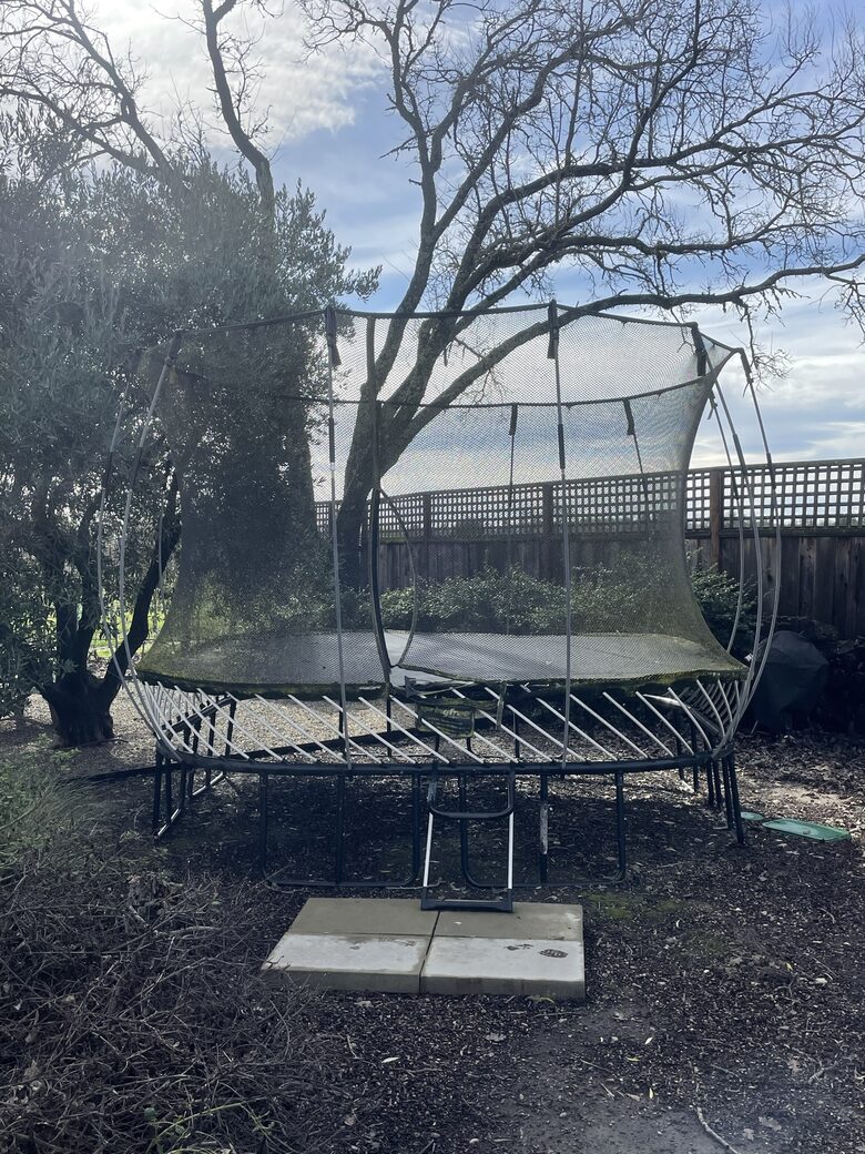 The trampoline adjacent to the tree swing and south fire-pit