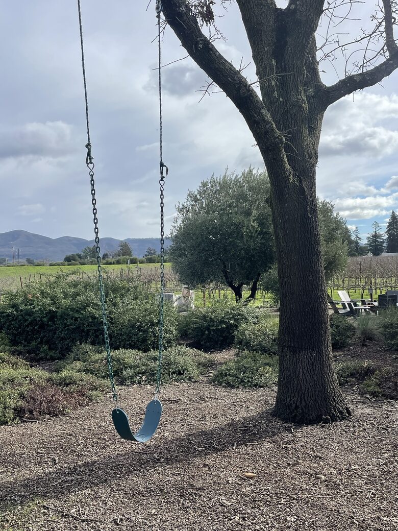 The tree swing off of the oak tree.