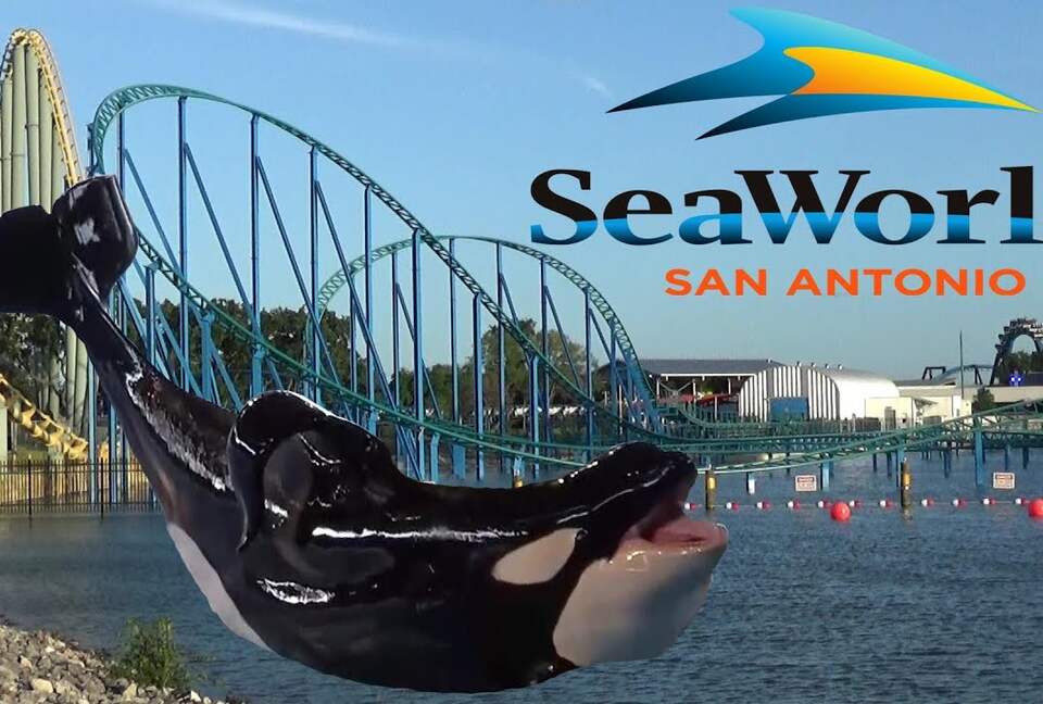 Beautiful 4-Bedroom San Antonio Getaway - San Antonio, Texas