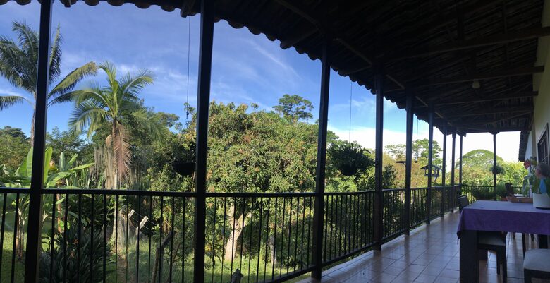 View from master room