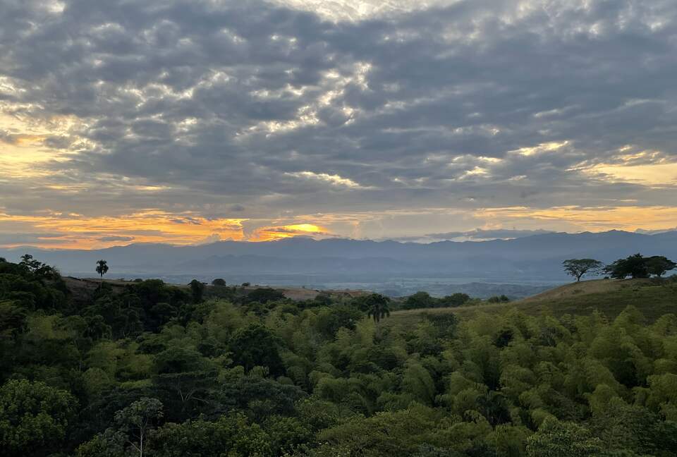 Guadua view from the hacienda