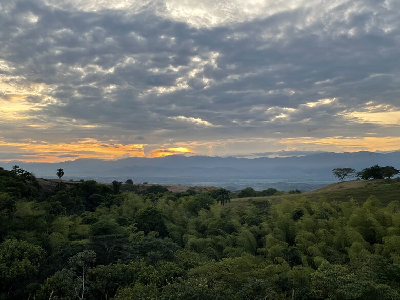 Guadua view from the hacienda