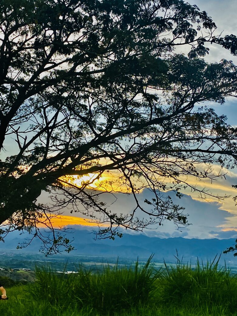 Natural & relaxing experiences