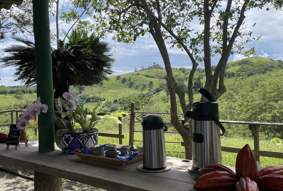 Perfect breakfast within nature