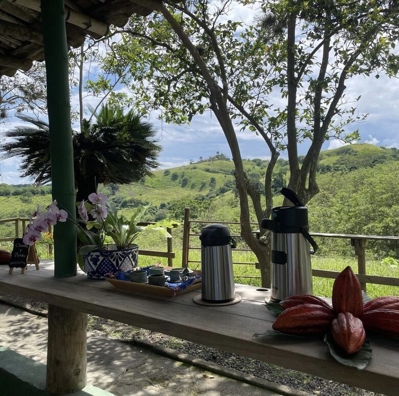 Perfect breakfast within nature