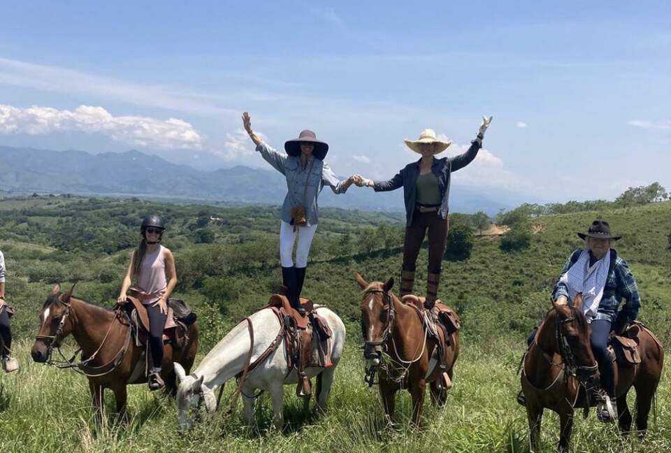 Horse riding experiences