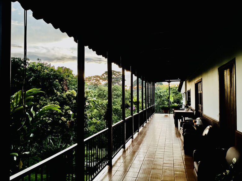 Garden corridor view