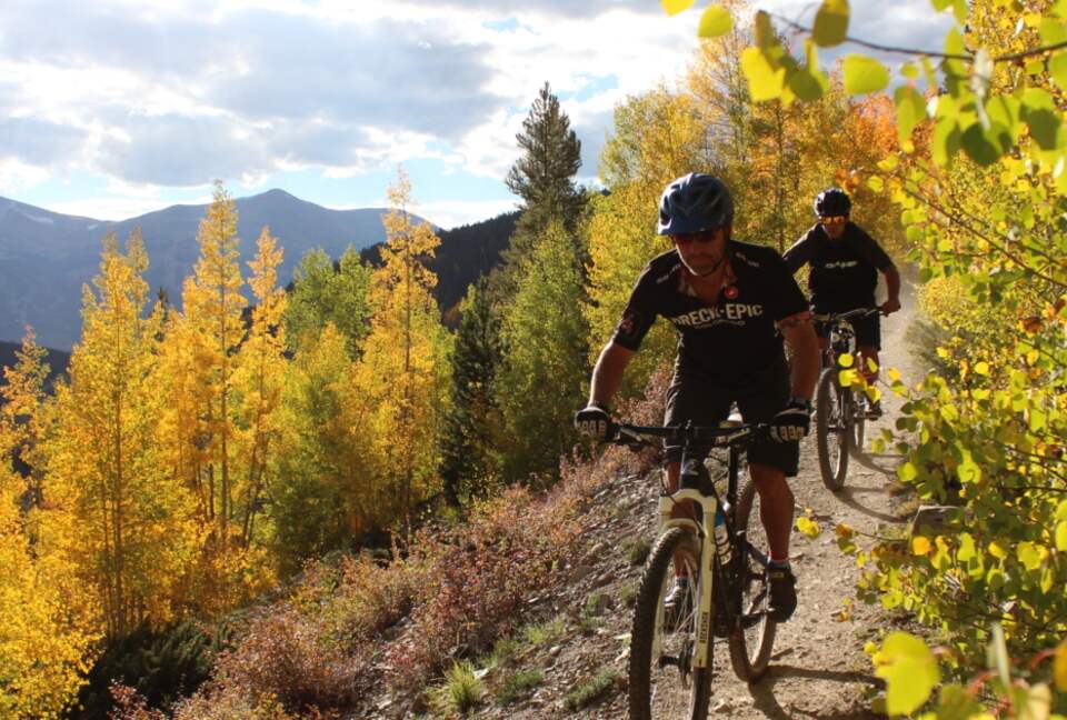 Cozy home in Breckenridge Historic District - ski, mountain bike & hike - walk to shopping + dining - Breckenridge, Colorado