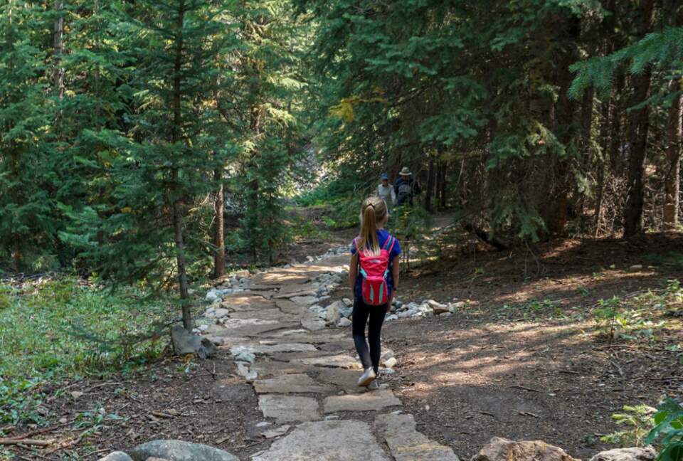 Cozy home in Breckenridge Historic District - ski, mountain bike & hike - walk to shopping + dining - Breckenridge, Colorado