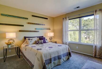 Sebastopol Wine Country Home - Sebastopol, California