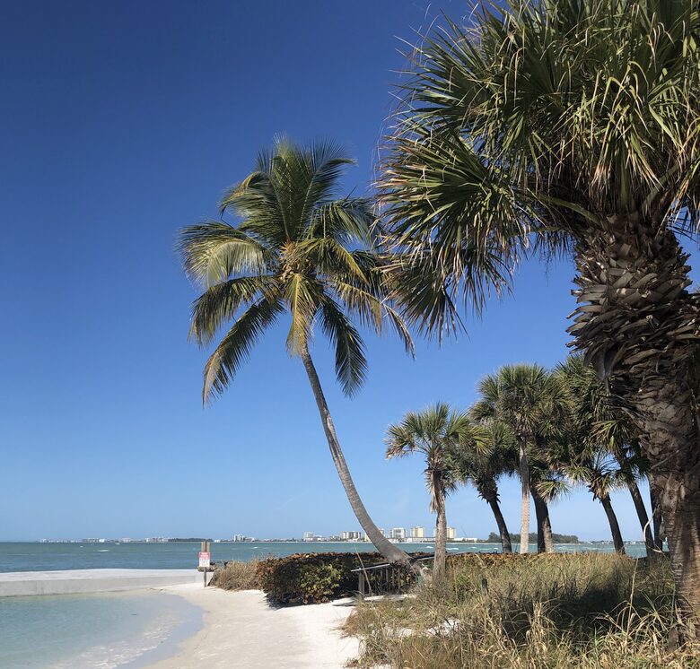 Beachfront MidCentury Modern Flat - Sarasota, Florida