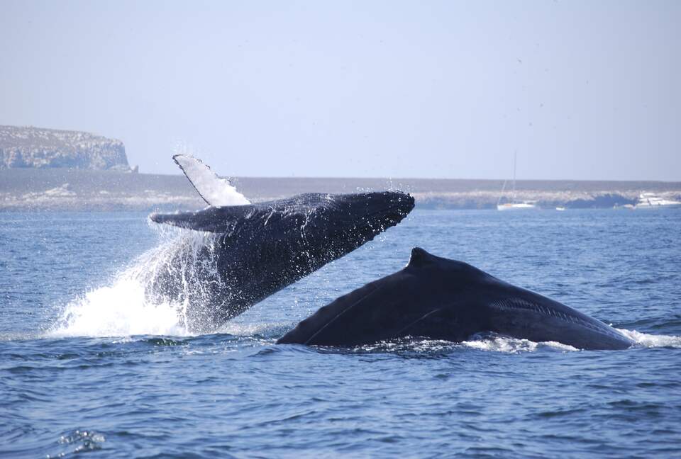 Casa Pacifico - An Oceanside Paradise On The Riviera Nayarit - Costa Vallarta, Mexico