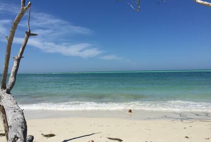 Beachfront MidCentury Modern Flat - Sarasota, Florida