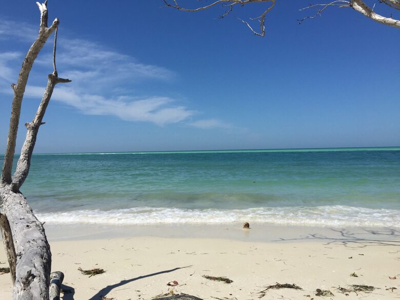 Beachfront MidCentury Modern Flat - Sarasota, Florida