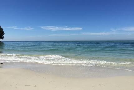 Beachfront MidCentury Modern Flat - Sarasota, Florida