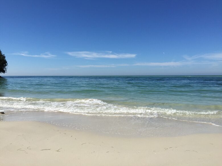 Beachfront MidCentury Modern Flat - Sarasota, Florida