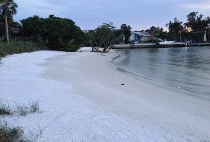 Beachfront MidCentury Modern Flat - Sarasota, Florida