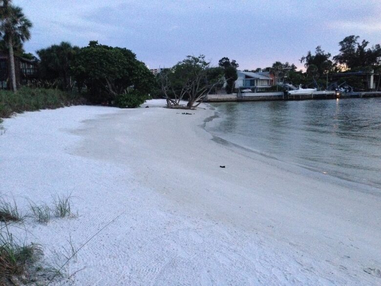 Beachfront MidCentury Modern Flat - Sarasota, Florida