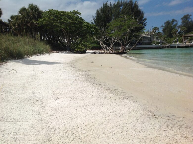 Beachfront MidCentury Modern Flat - Sarasota, Florida