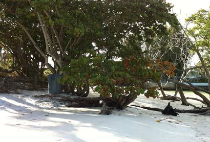 Beachfront MidCentury Modern Flat - Sarasota, Florida