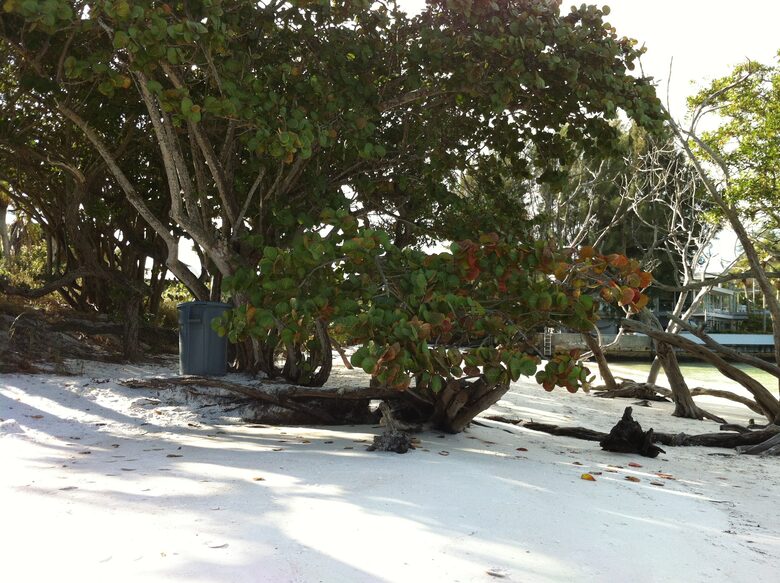 Beachfront MidCentury Modern Flat - Sarasota, Florida