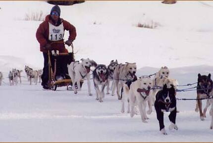 Park City Luxury - Park City, Utah