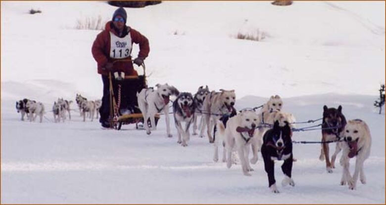 Park City Luxury - Park City, Utah