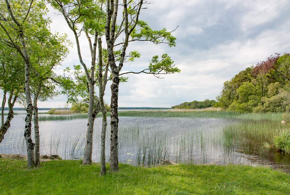 Nenagh Co. Tipperary - Nenagh, Ireland