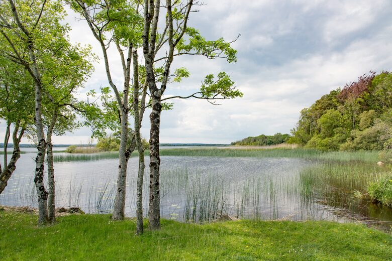 Nenagh Co. Tipperary - Nenagh, Ireland