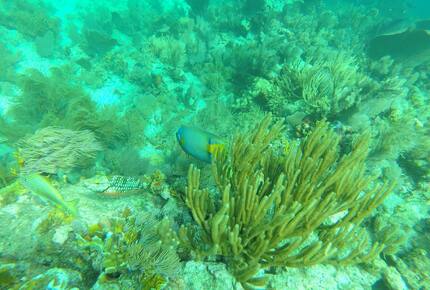 Tropical Waterfront Home with Boat Dock and Heated Pool - Key Largo, Florida
