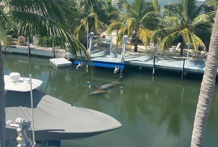 Tropical Waterfront Home with Boat Dock and Heated Pool - Key Largo, Florida