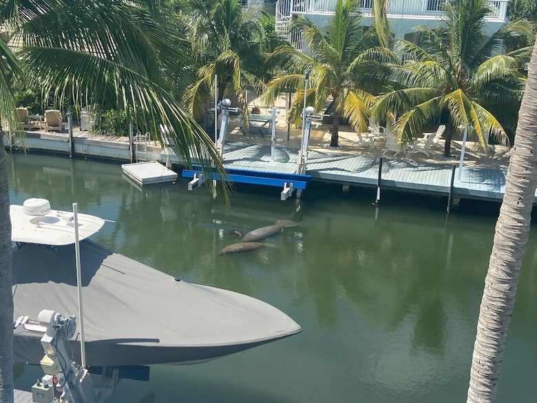Tropical Waterfront Home with Boat Dock and Heated Pool - Key Largo, Florida