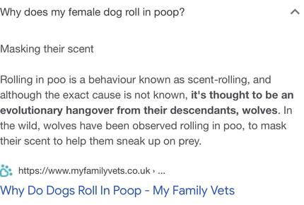 High Times - St George Island, Florida