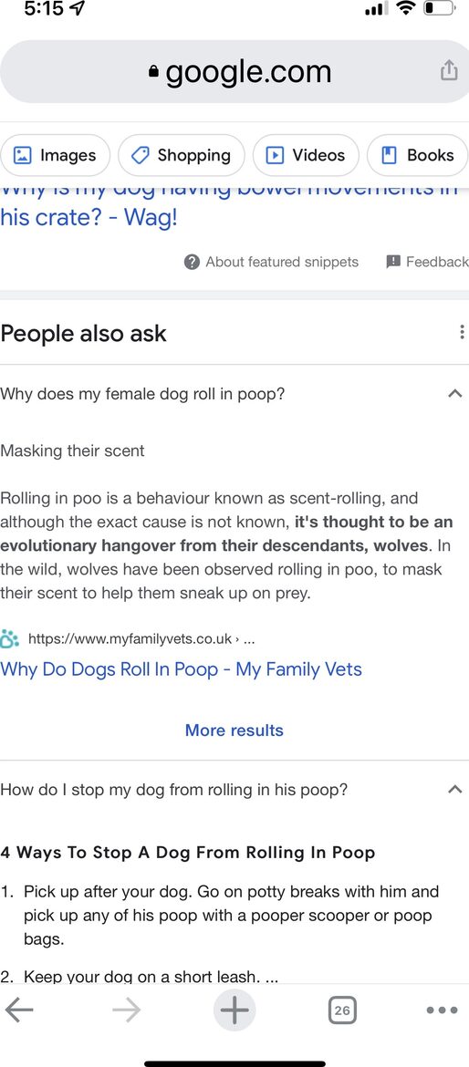 High Times - St George Island, Florida