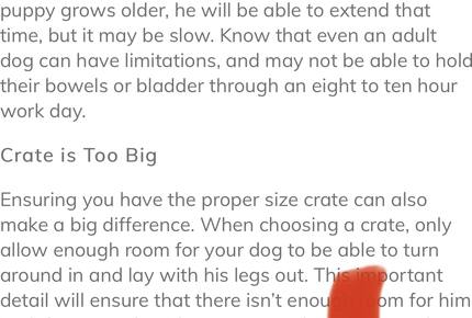 High Times - St George Island, Florida