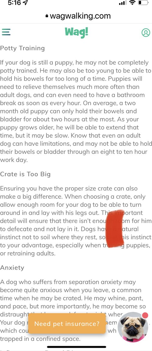 High Times - St George Island, Florida