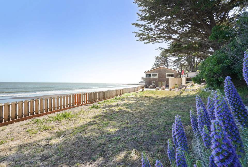 Beachfront Magical Paradise - Bolinas, California