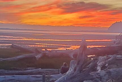 Whale Cove Oceanfront Dream - Depoe Bay, Oregon