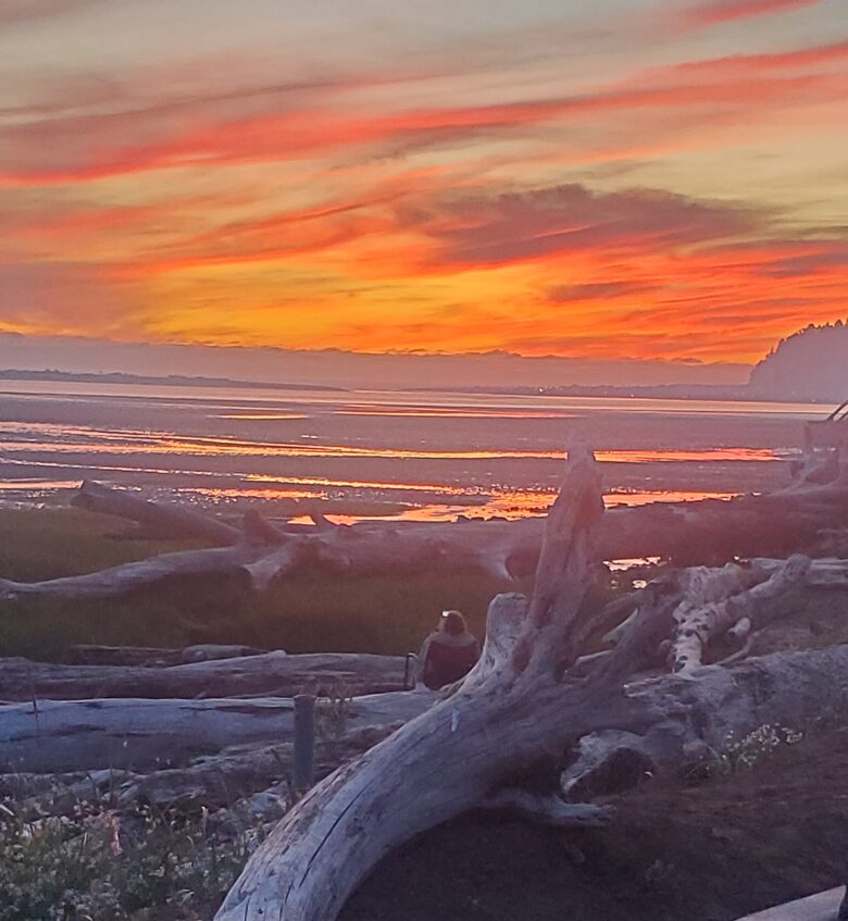 Whale Cove Oceanfront Dream - Depoe Bay, Oregon