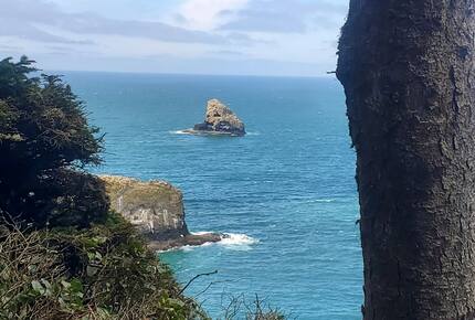 Whale Cove Oceanfront Dream - Depoe Bay, Oregon