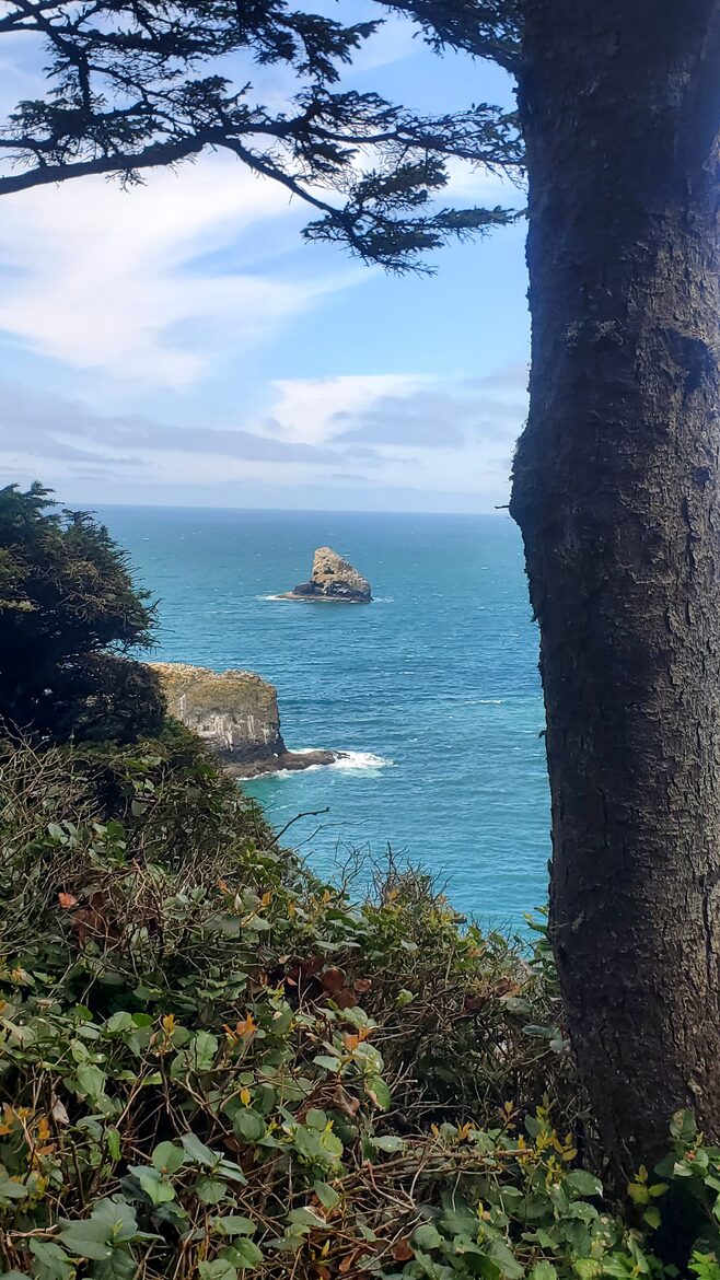 Whale Cove Oceanfront Dream - Depoe Bay, Oregon