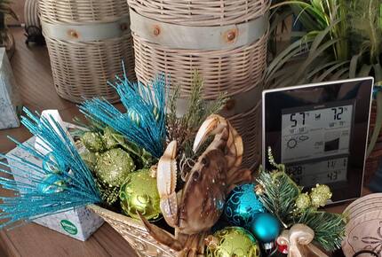 Whale Cove Oceanfront Dream - Depoe Bay, Oregon