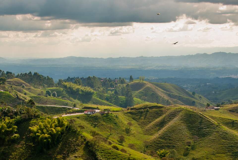 Hacienda Maracay | In Colombias Coffee Region - Pereira, Colombia